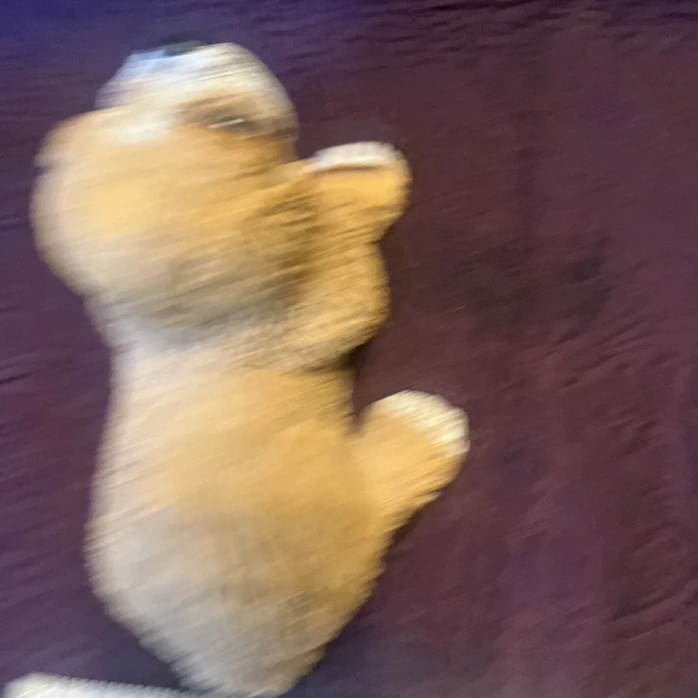 Vintage Cocker Spaniel Dog Puppy Figurine Resin Statue Business‎ Card Holder 9